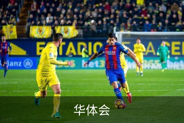 关于华体会